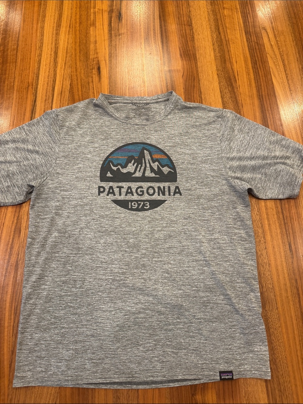 Patagonia Gray Logo Mountain Graphic Tee